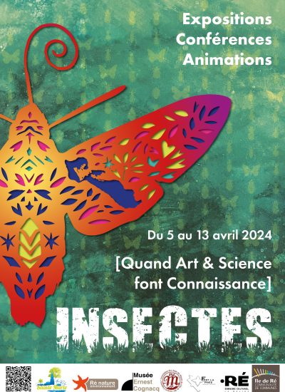 Festival Insectes
